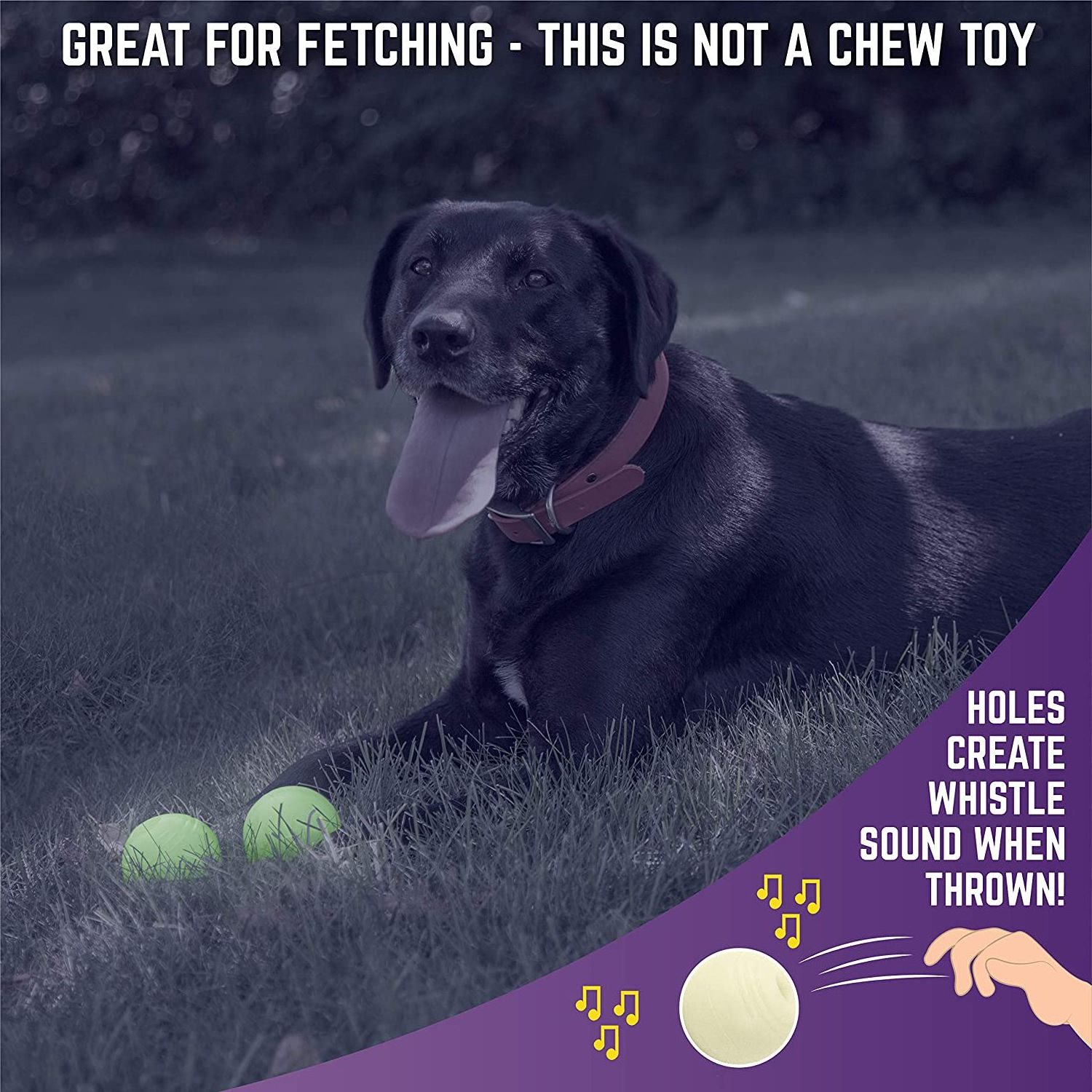 Light Up Dog Ball Glow in the Dark Rubber Dogs Fetch Toy Balls Come with 21 LED UV Flashlight for Cats Glowing Effect at night