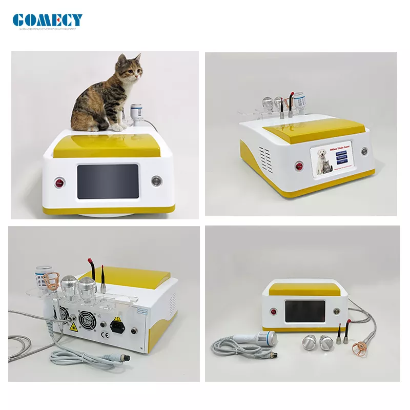 Laser Physiotherapy Veterinary B Cure Laser Vet Device for Pet Dog Horse Arthritis Treatment 980nm  Physical Therapy