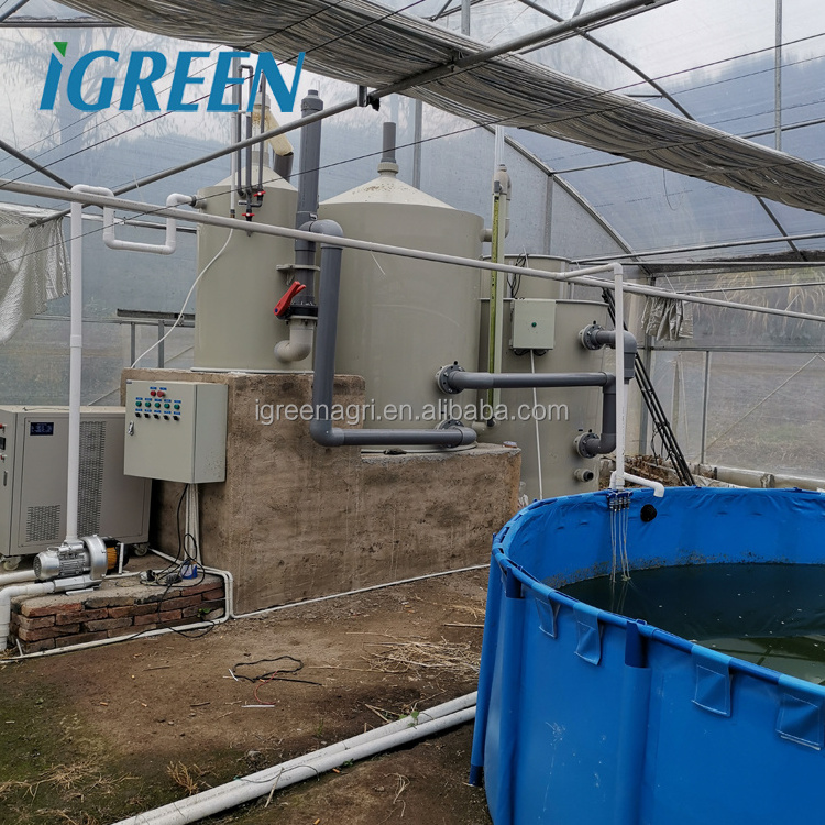 Indoor ras shrimp farming equipment, Aquaculture ras systems,recirculating aquaculture system design ras fish farming equipment