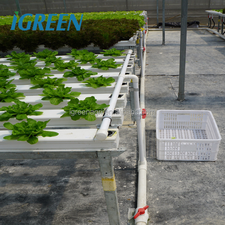 Commercial NFT hydroponics system