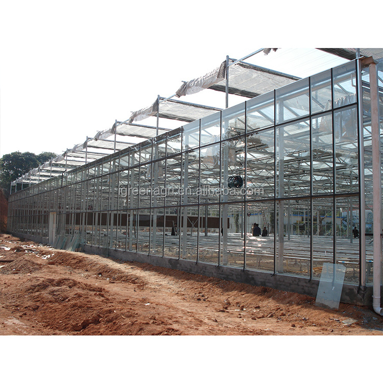 2022 Hot Sale Low Price Glass Wholesale Glass for Greenhouses Greenhouses Used Custom China Customized Large Floating Glass