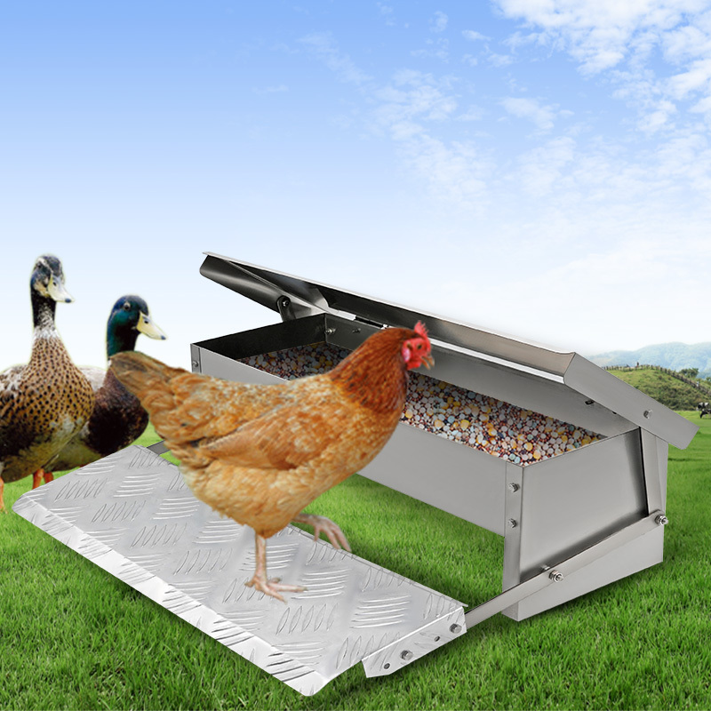 Chicken Raising Equipment Outdoor Poultry Automatic Feeder Galvanized Treadle Chicken Feeder