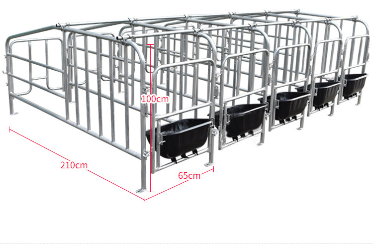 Hot Dalvanized Sow Farrowing Cage Pig Crate Pig Farm Sow Gestation Pen Stalls