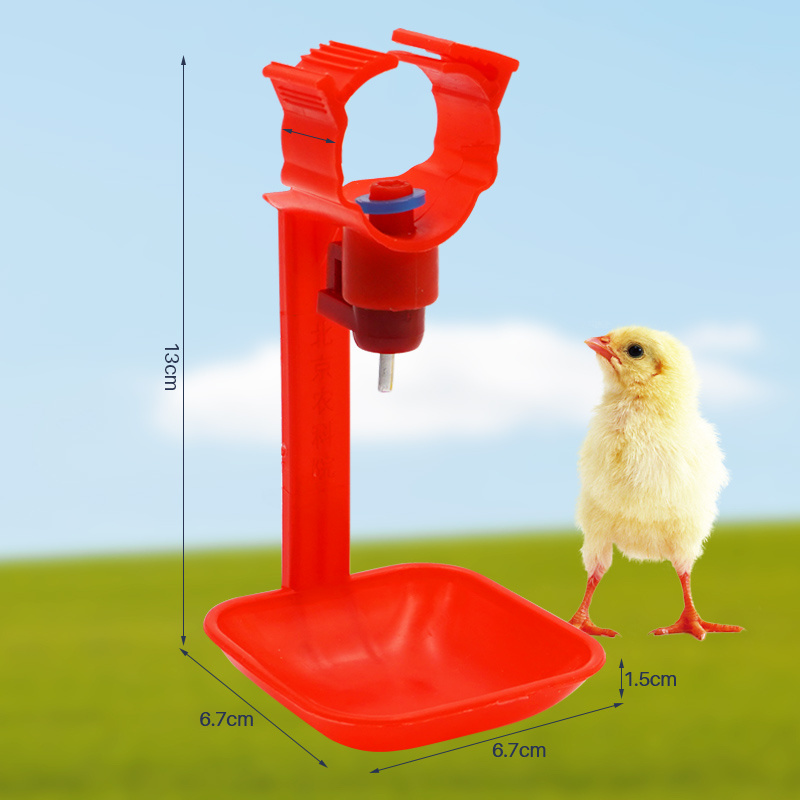 Automatic Brooding Pigeon Poultry Chicken Drip Water Nipple Cup Chicken Drinker Cups For Sale