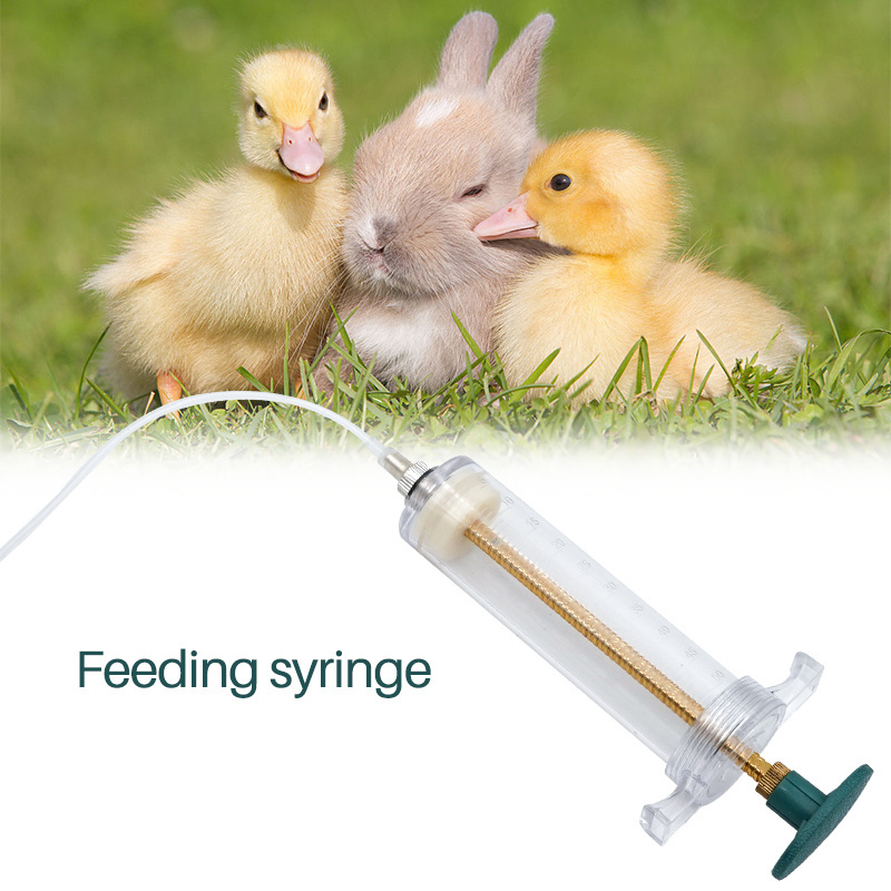 Adjustable Bird Feeders Animal Feeding Syringe for Pigeon Parrot Plastic Injection Machine for Pet Feeding