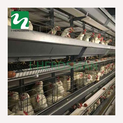 Poultry Farm Equipment Battery Chicken Layer Cage Automatic Poultry Cage