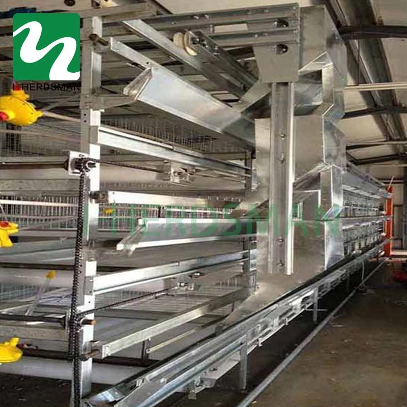 Poultry Farm Equipment Battery Chicken Layer Cage Automatic Poultry Cage