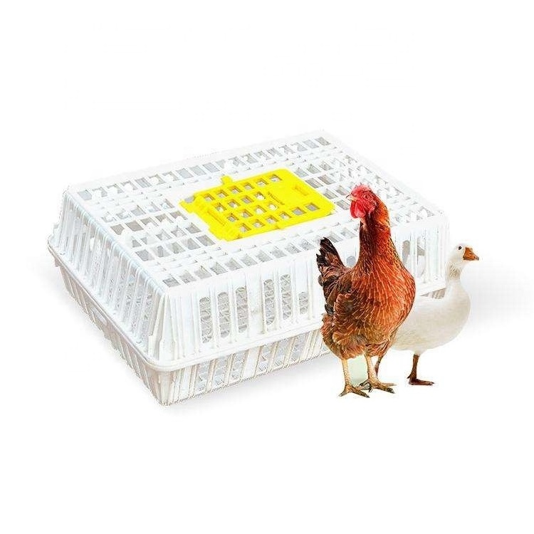 Plastic Chicken Transport Coops Cage Poultry Livestock Chicken Broiler Transport Cages