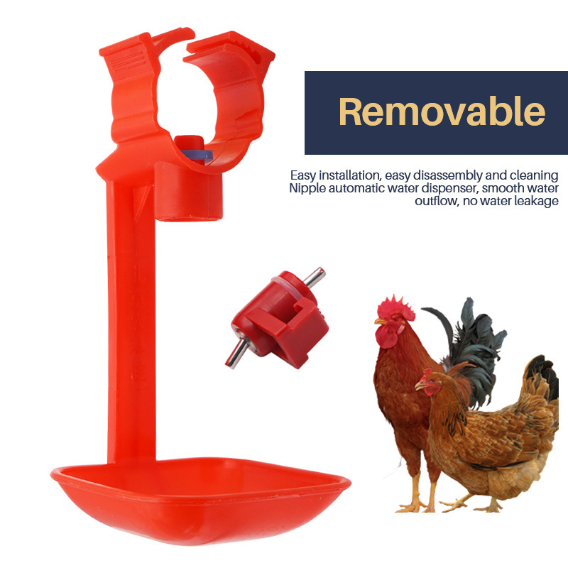 Automatic Brooding Pigeon Poultry Chicken Drip Water Nipple Cup Chicken Drinker Cups For Sale