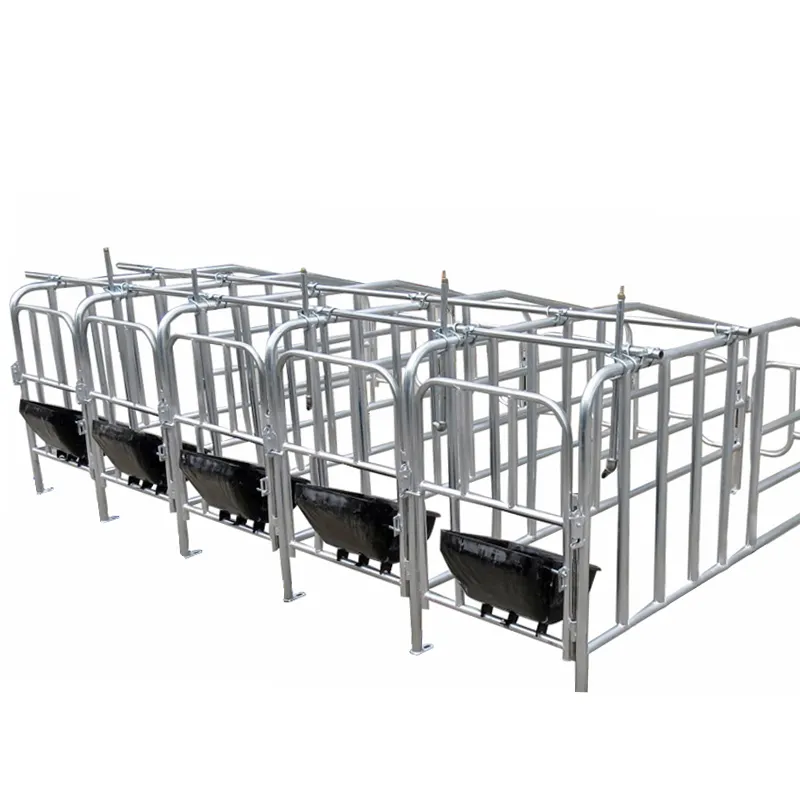 Hot Dalvanized Sow Farrowing Cage Pig Crate Pig Farm Sow Gestation Pen Stalls