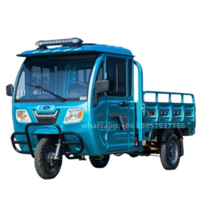 75V 1000W Adults 3 Wheel  cargo Electric Tricycle truck with roof