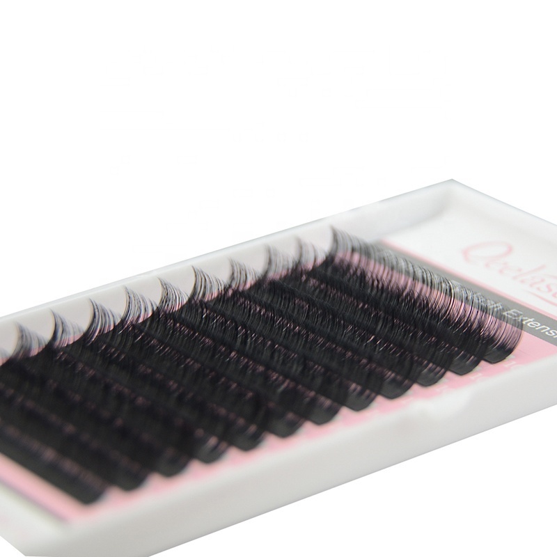 Qeelasee fan beautiful eyelash extensions wholesale lashes supplier