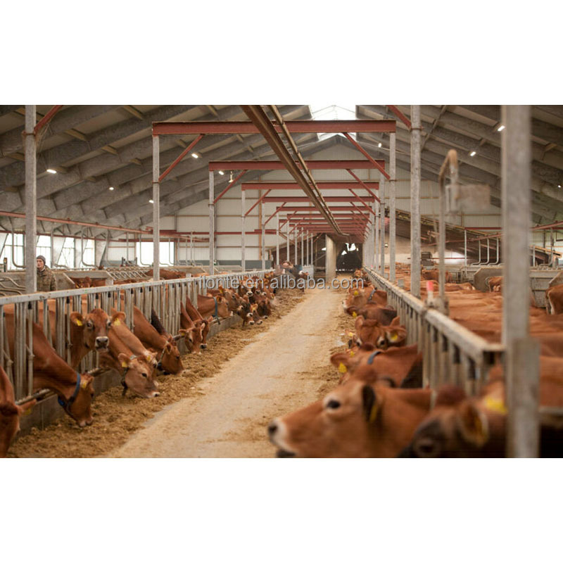 Structure Dairy Cow Shed Farm House Barn Shed Livestock Cattle Shed Buildings Construction Light Prefab Steel Low Cost Modern