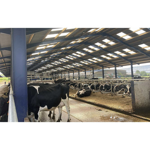 Structure Dairy Cow Shed Farm House Barn Shed Livestock Cattle Shed Buildings Construction Light Prefab Steel Low Cost Modern