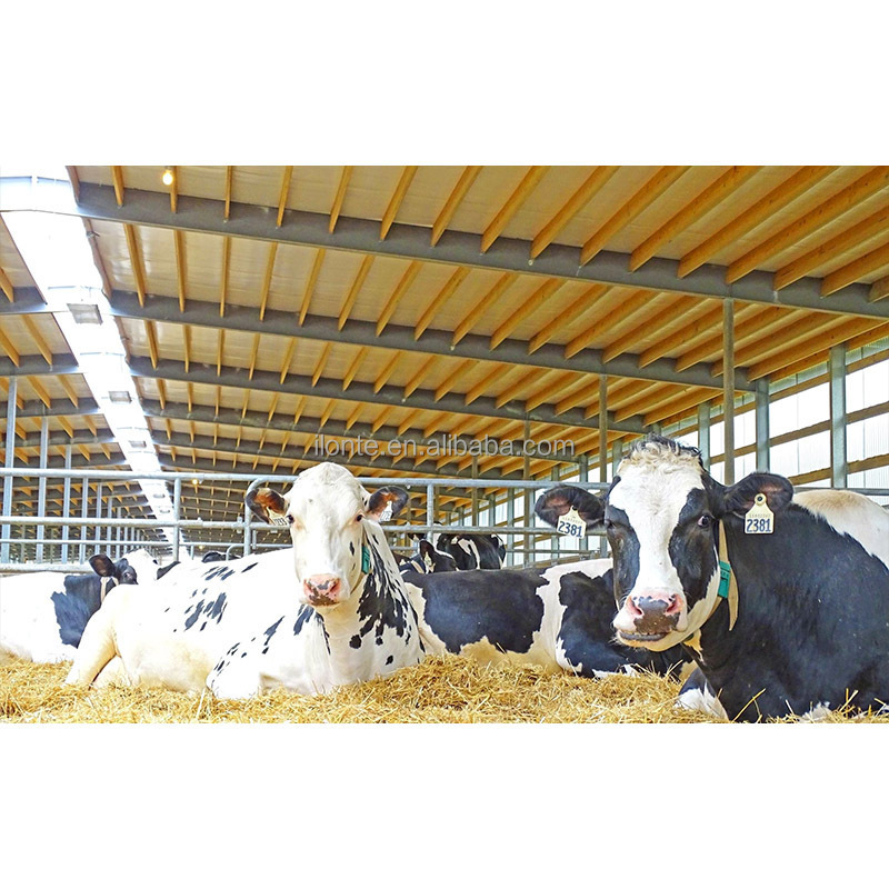 Structure Dairy Cow Shed Farm House Barn Shed Livestock Cattle Shed Buildings Construction Light Prefab Steel Low Cost Modern