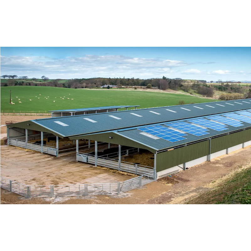 Steel Structure Roof Truss Price a Popular Prefabricated Grain Storage Depot Light Barn Lights Structure Prefab House Home Aisi