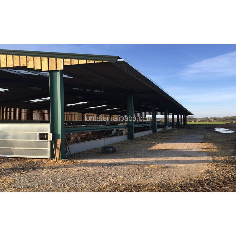 Structure Buildings Cow Dairy Cattle House Shed Farm Calf Raising Pens Roof Trusses 8-14 Days Low Cost Steel Light Weight Steel