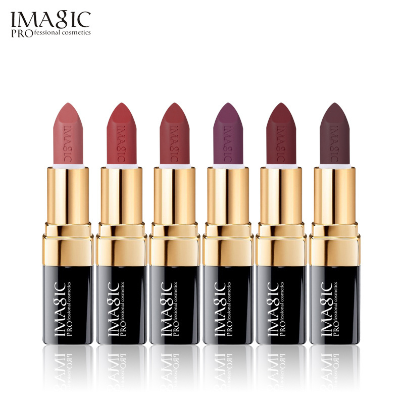 IMAGIC brand 12color lip stick set makeup luxury long lasting waterproof matte red nude lipstick