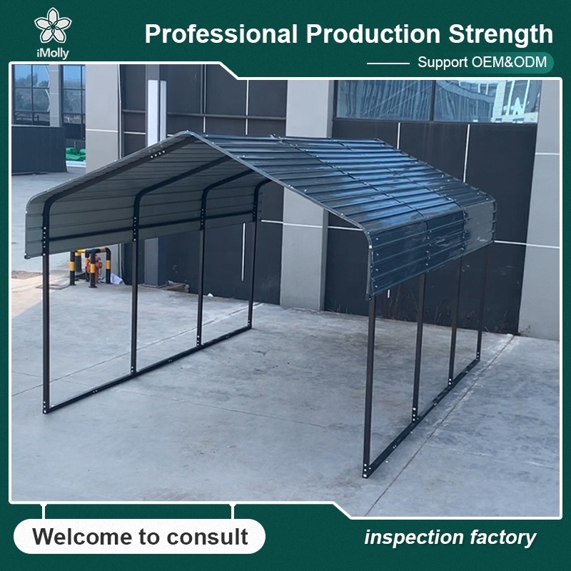 Factory Price Regular Roof 10Ft Carport Gable Roof Car Port Shelter Aluminum Car Shelter Driveway Car Canopy