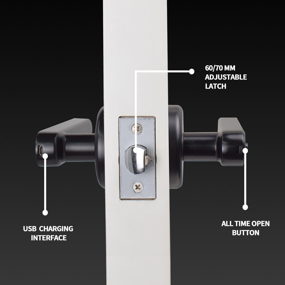 Fingerprint Password Fingerprint Smart Door Lock With Emergency Key Handle Lever Smart Door Lock