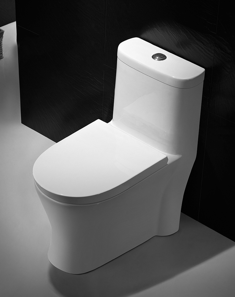 American & Canadian Siphonic Bathroom One Piece Toilets Bowl