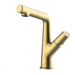 2020 New Design Pull Down Lifting Stainless Steel Brushed Bathroom Faucet with pull down sprayer