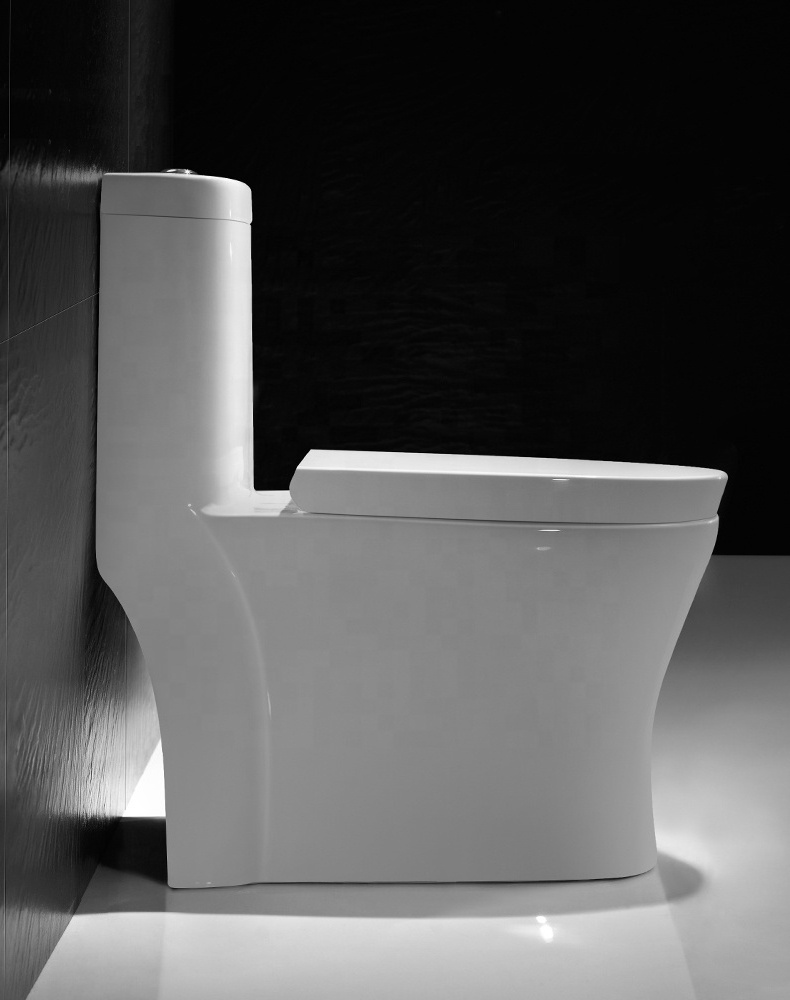 American & Canadian Siphonic Bathroom One Piece Toilets Bowl