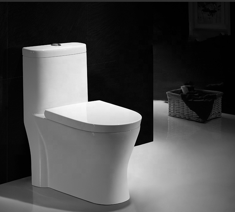 American & Canadian Siphonic Bathroom One Piece Toilets Bowl