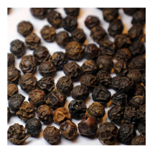 Hot Black Pepper 500 G/L /550 G/L For Exporting High Quality Good Rates For All Country In The World