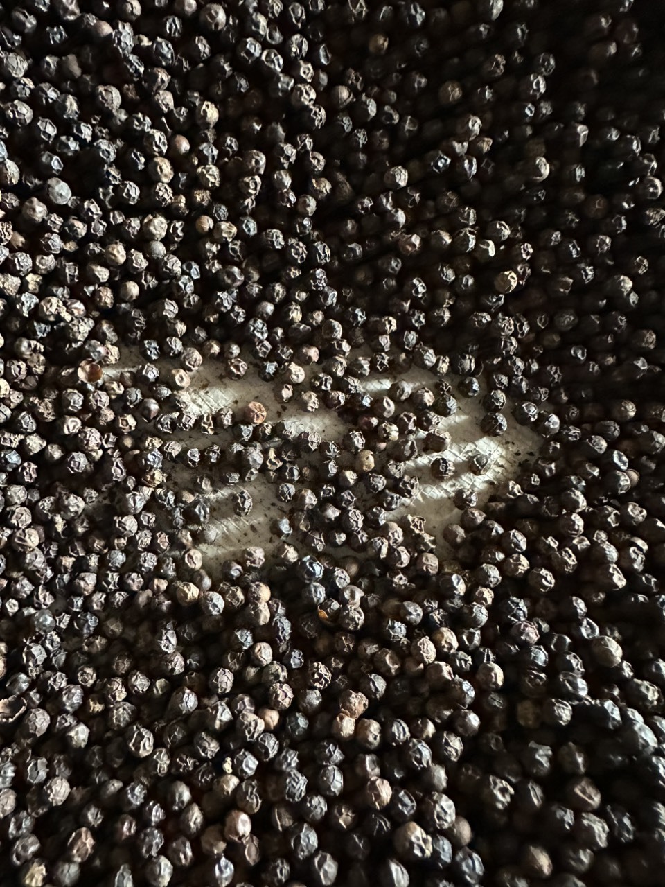 Hot Black Pepper 500 G/L /550 G/L For Exporting High Quality Good Rates For All Country In The World