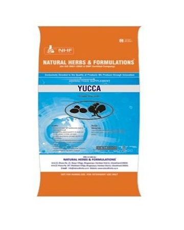 Yucca powder Yucca schidigera Pure Herbal Feed Supplement for fish and poultry birds