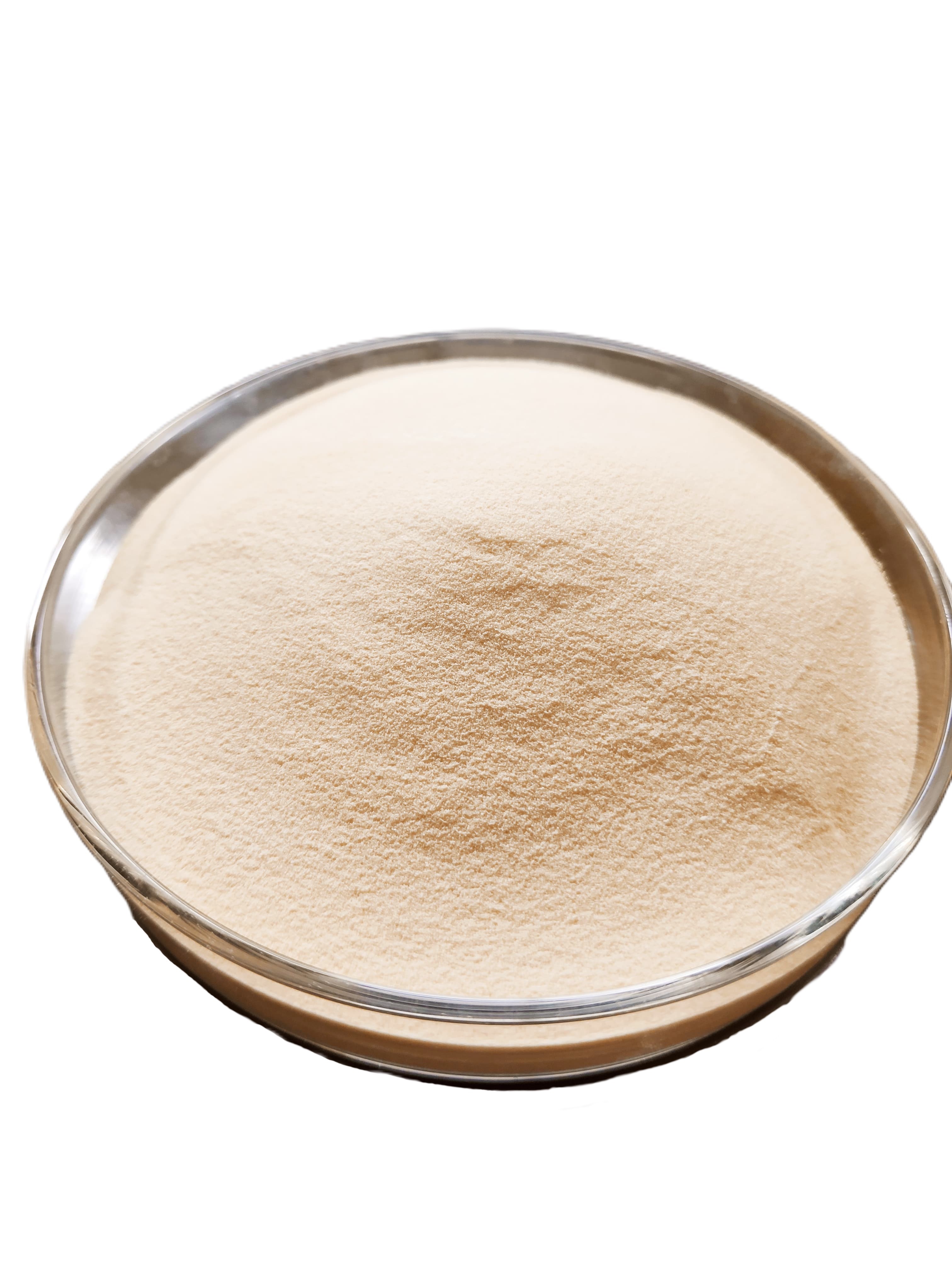 Competitive price High Quality Beta Glucanase Enzyme Powder From Bangalore, Karnataka, India