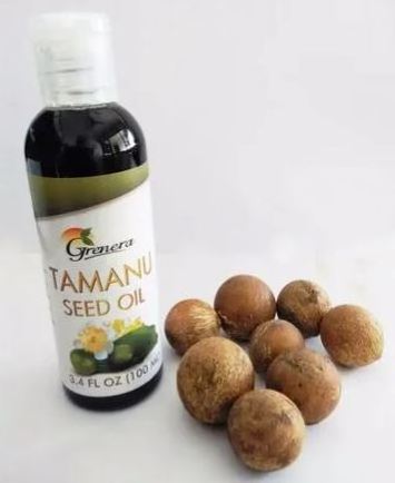 High Quality TAMANU OIL Indian Supply Tamanu Seed Oil With wholesale Price For cosmetic Usage Cold pressed Extraction Method