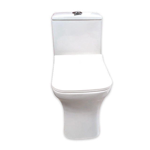 One Piece Toilet Intelligent Toilet Seat Cover Sigma 119 One Piece WC Seat wares one-piece smart toilet with warm cover seat