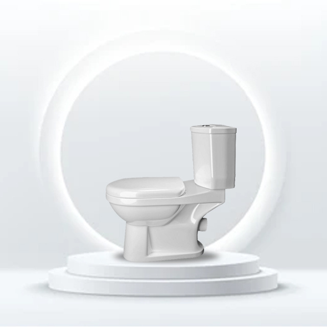 Aqua WC Modern High Quality Two Piece Ceramic Toilet Seat Commode with Up flush Luxury Bathroom Design S or P Trap