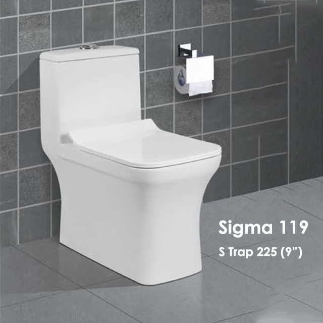 One Piece Toilet Intelligent Toilet Seat Cover Sigma 119 One Piece WC Seat wares one-piece smart toilet with warm cover seat