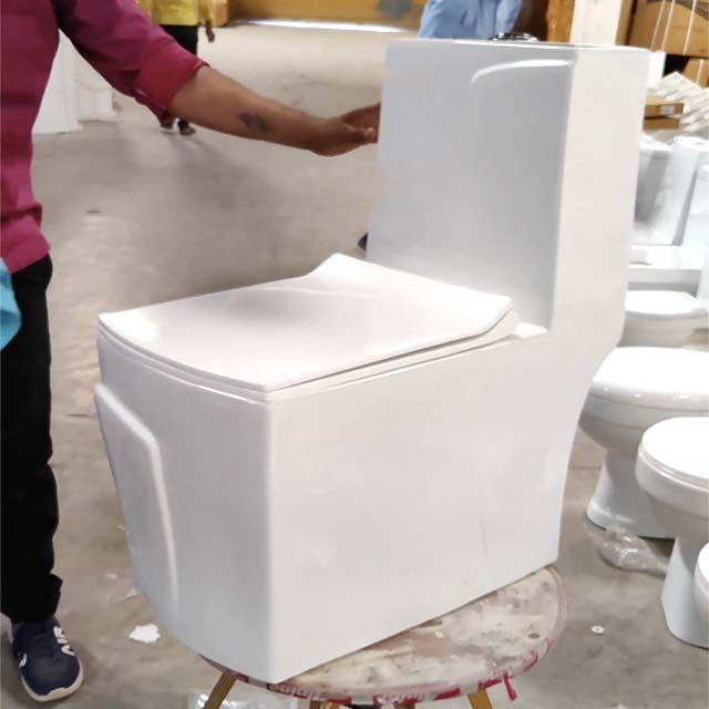 One Piece Toilet Seat Delta-120 Bathroom Seat Toilet WC Ceramic One Piece Toilet S -Trap White Color