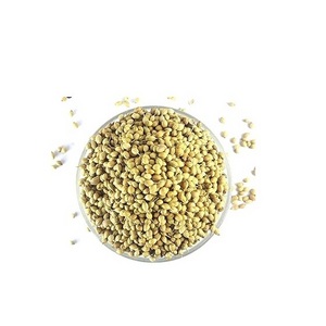 Indian Authentic Spice Grade Fresh Raw Coriander for Culinary Use Available for Bulk Export at Low Prices