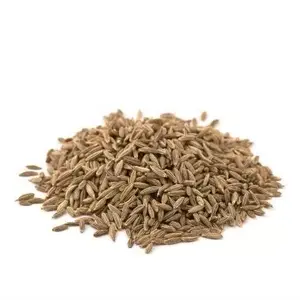 High Quality Supplier Indian Cumin Whole Spices Dried Spices and Herbs from Indian Exporter and Supplier