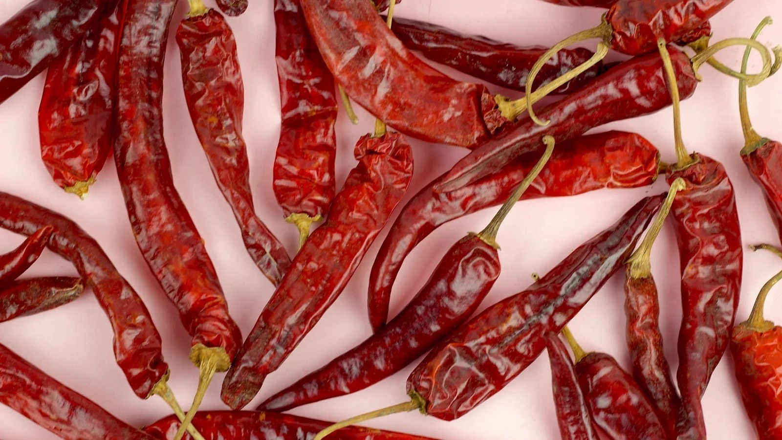 Best Competitive Price Natural Red Kashmiri Red Chilli for Extra Color Available at Bulk Wholesale Quantity from India