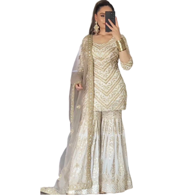 tonge vibrator Belly Dance Skirt Women Costume Indian Clothes Stage Woman Silk Veil Sari  Hot Suits Sexy Adult Practice Wear Dancing Costumes main image 1