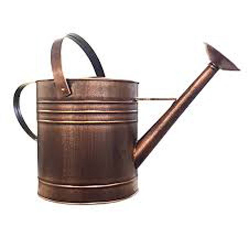 Gardening Watering Can with Leak Proof Garden Item Bronze Finished Hot Selling Watering Can 1 gallon Lightweight Water Cans