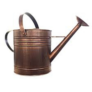 Gardening Watering Can with Leak Proof Garden Item Bronze Finished Hot Selling Watering Can 1 gallon Lightweight Water Cans