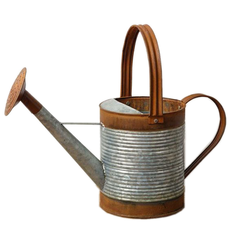 Gardening Watering Can with Leak Proof Garden Item Bronze Finished Hot Selling Watering Can 1 gallon Lightweight Water Cans