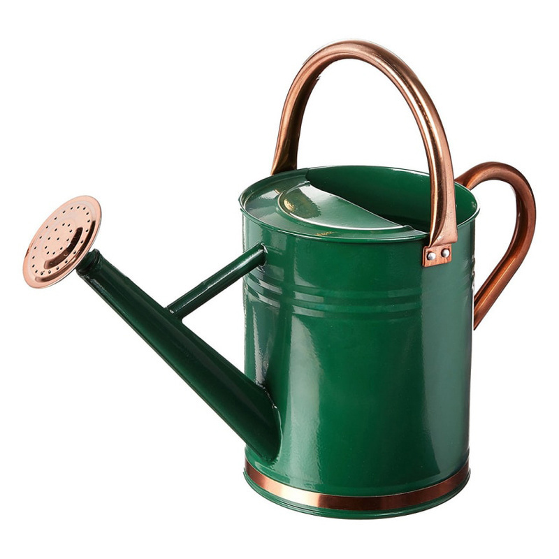 Gardening Watering Can with Leak Proof Garden Item Bronze Finished Hot Selling Watering Can 1 gallon Lightweight Water Cans