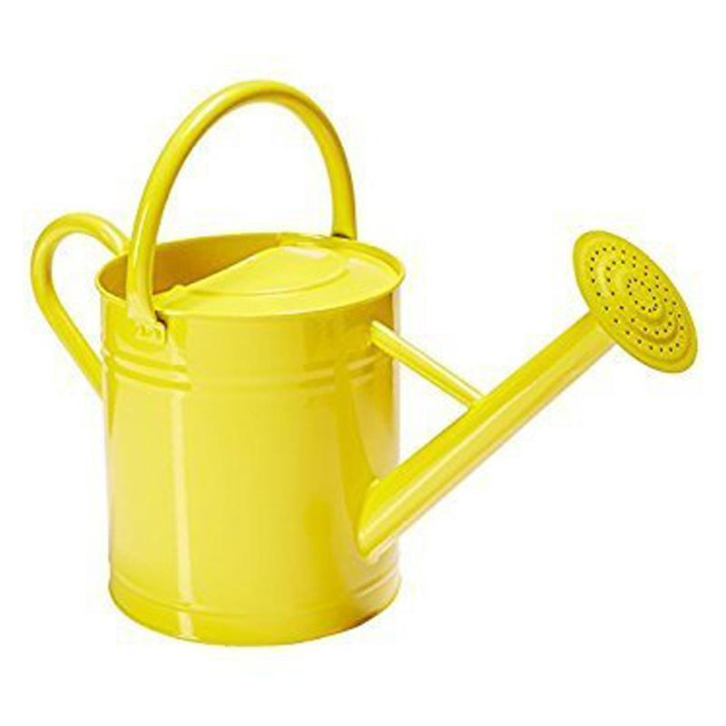 Gardening Watering Can with Leak Proof Garden Item Bronze Finished Hot Selling Watering Can 1 gallon Lightweight Water Cans