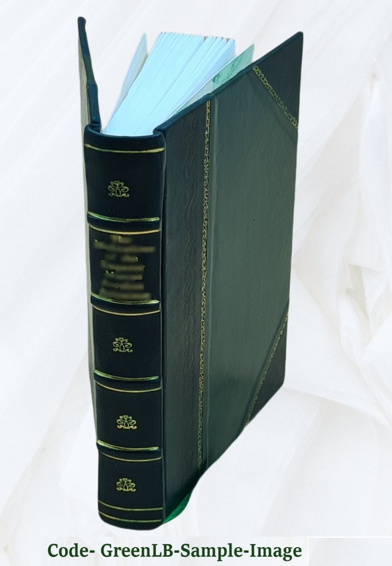 The Ambassadors [Leather Bound] by Henry James