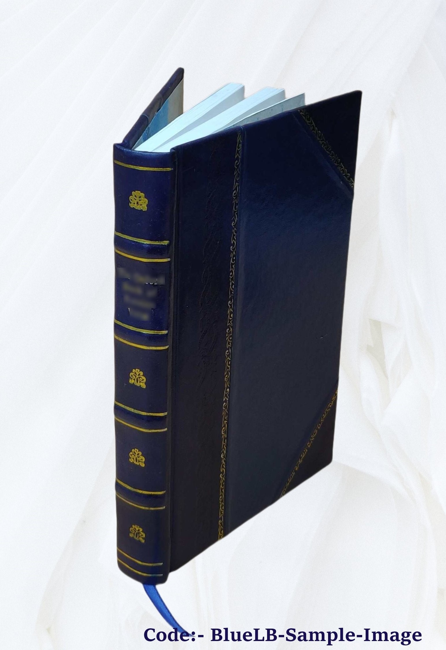 The Ambassadors [Leather Bound] by Henry James