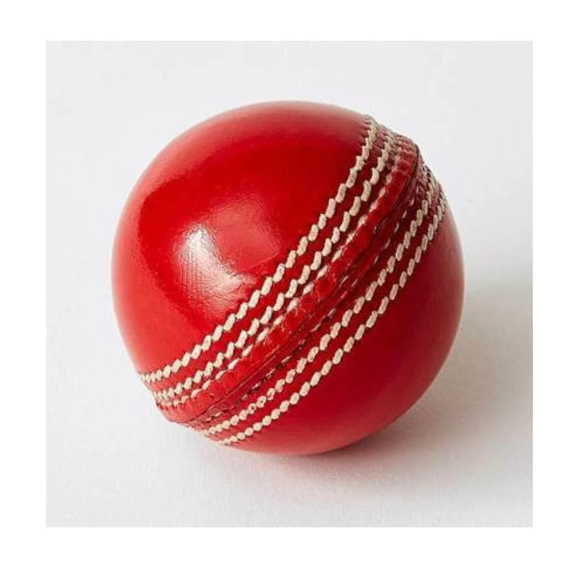 OEM Service Training Play Garden Cricket Hard Ball Custom Leather Match Ball For Adults Cricket Balls Made In India