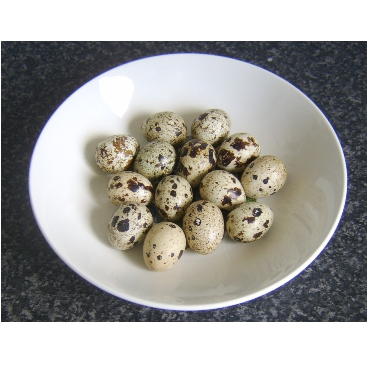 Organic Premium Best Quality Quail Egg from Indian Supplier and Exporter for Wholesale at Wholesale price